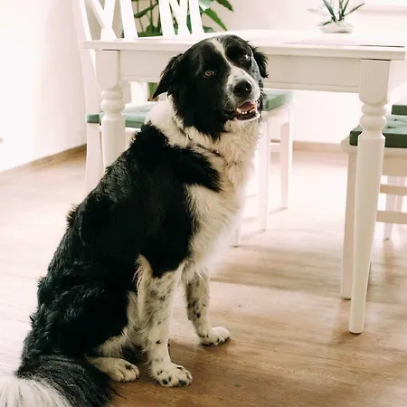 Apartment Worpsweder Schloesschen